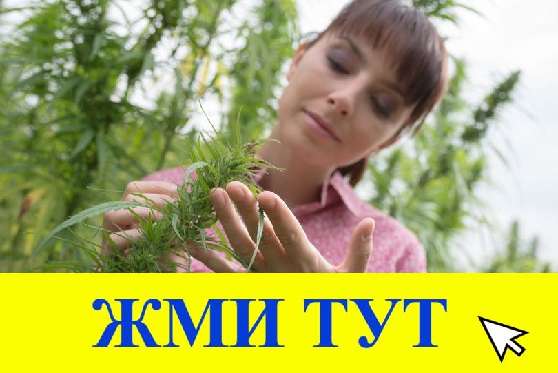 Купить наркотики в Исилькуле